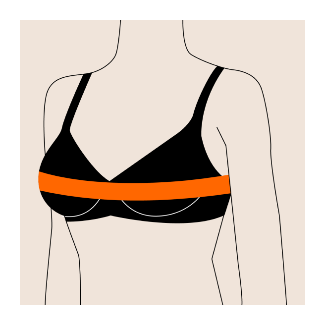 How to measure bust circumference correctly to find your Etalon posture bra size for optimal posture support and comfortable fit?