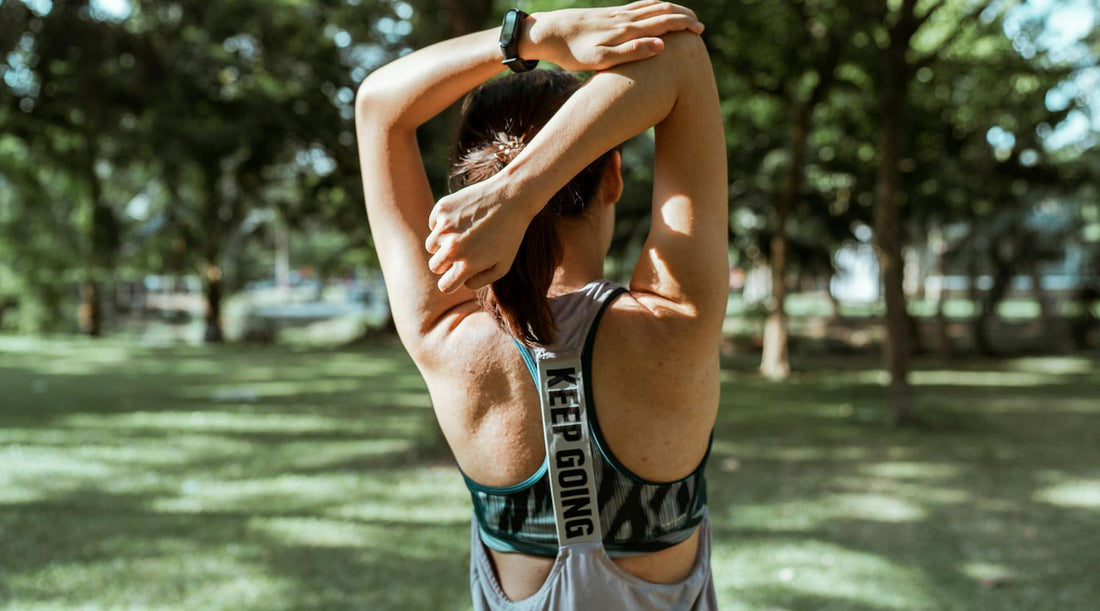 the Musculature of the Upper Back | Etalon